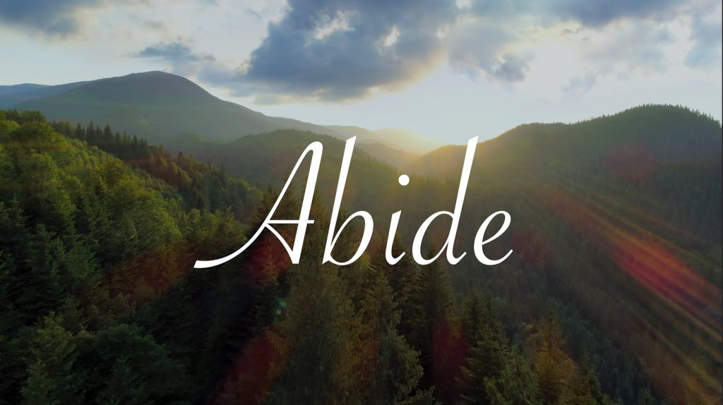 Abide (Week 8)